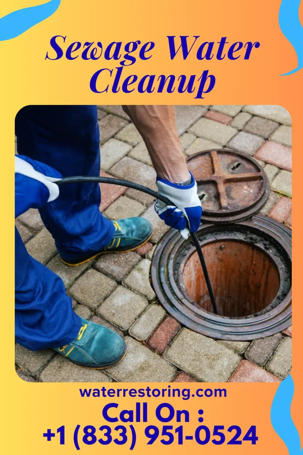 Sewage Water Cleanup in Douglass Hills, KY