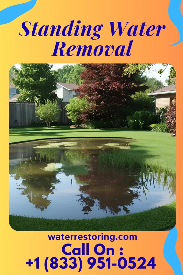 Standing Water Removal in Douglass Hills, KY